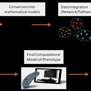 Systems biology approaches. The Systems Biology approaches typically ...