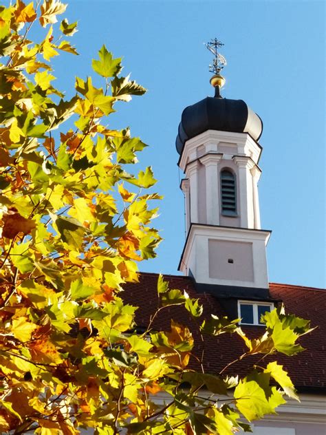 Free Images : tree, flower, tower, season, branches, fall foliage, leaves in the autumn, yellow ...