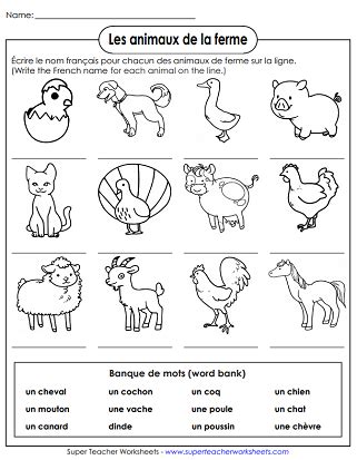 French Vocabulary Worksheets