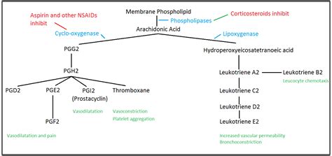 Acute Inflammation