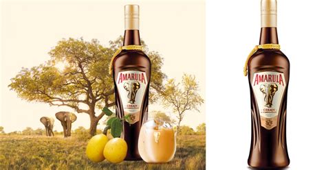 Amarula Cream - Conaxess Trade