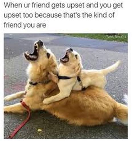 65 Best Funny Friend Memes to Celebrate Best Friends In Our Lives