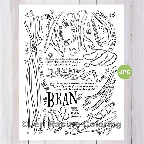 Beans Coloring Page