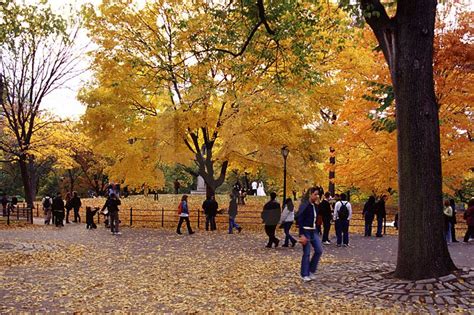 Central Park Fall Color 1,