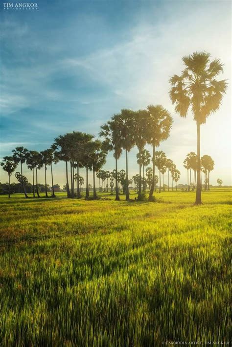 Scenery in Cambodia