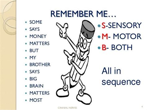 how to remember cranial nerves | Nursing school survival, Nursing school studying, Nursing ...