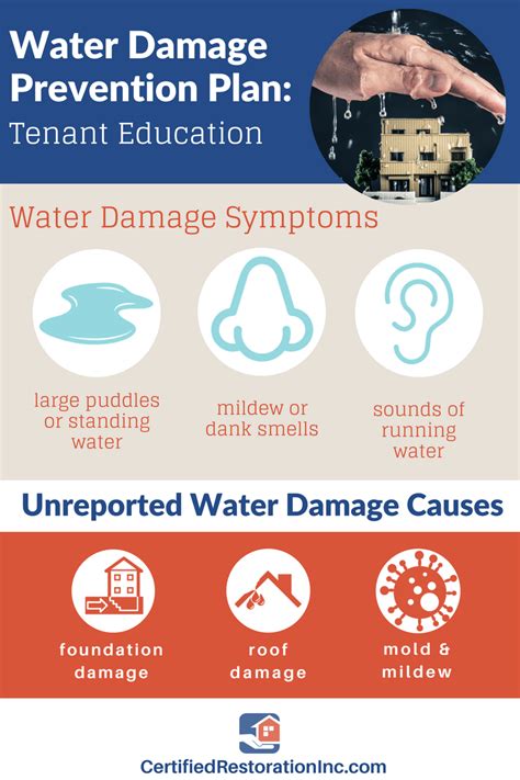 Property Manager Guide: Water Damage Prevention | Water Damage ...