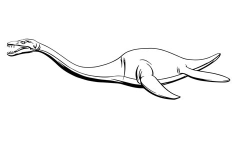 Plesiosaur in a linear style, ink drawing.Vector illustration. 17127860 ...