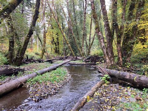 NetMap Pilot Project - Tualatin River Watershed Council