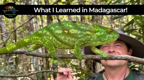 S8 E1: What I Learned in Madagascar - Chameleon Academy