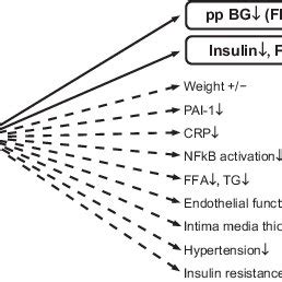 Acarbose mechanism of action: competitive inhibition of the intestinal ...