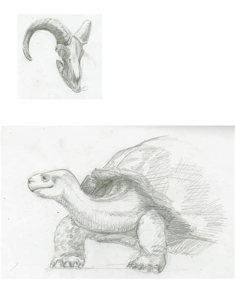 JAB Illustration: Animal sketches