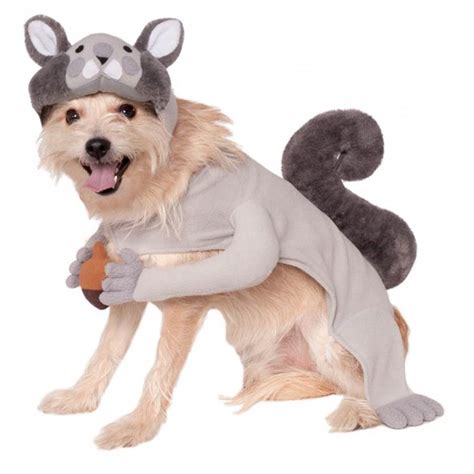 Squirrel Dog Costume with Same Day Shipping | BaxterBoo