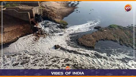 Sabarmati River Pollution: Guj HC Seeks CPCB Report