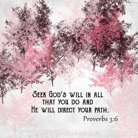 "Seek God's will in ALL you do, and He will direct your path" Proverbs 3:6 | Seeking god, Quotes ...