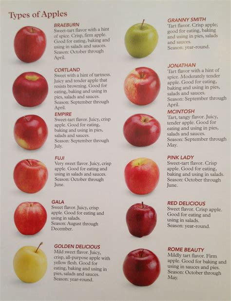 Different types of apples & cooking uses for them | Food info, Food ...