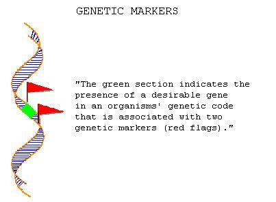 Molecular Breeding and Marker-Assisted Selection | ISAAA.org