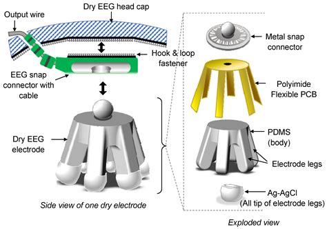 Development Of Dry EEG Electrodes And Dry EEG Cap For, 47% OFF