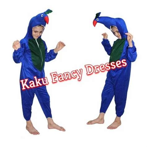 Fleece Kids Peacock Costume at Rs 175/piece in Delhi | ID: 14859689773