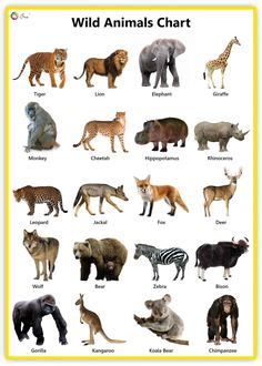 zoo animals names list