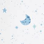 Night Sky Moon and Stars Nursery Wallpaper | The Company Store