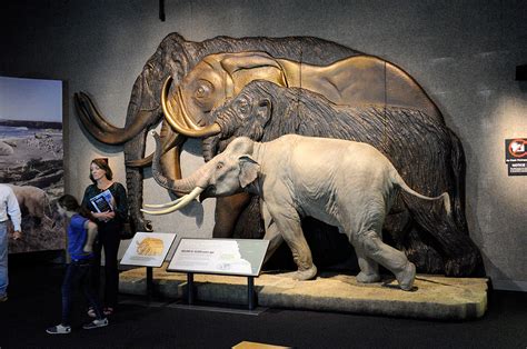 RainyDayScience: Mammoths and Mastodons by Wan Chi Lau October 5, 2012