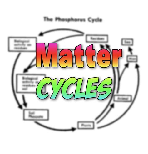 Cycles Of Matter Worksheet