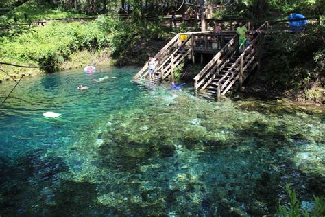 Blue Springs State Park, USA | Day Trips from Orlando | Holidify