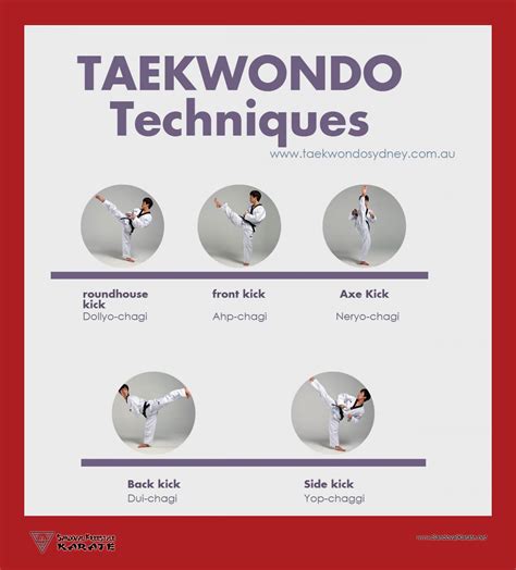 Taekwondo Techniques Infographic - Sandoval Freestyle Karate