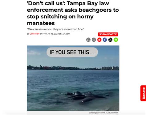 Tampa Bay's 25 most WTF news stories of 2023 | Tampa | Creative Loafing ...