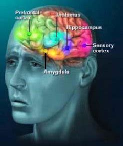 Types of Phobias ,Causes , Indication and Danger Aspects ~ ForAngelsOnly