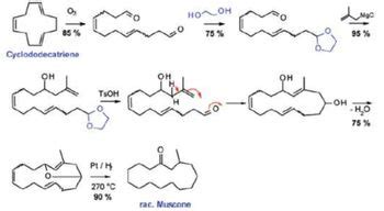 Answered: Muscone synthesis is possible via an… | bartleby