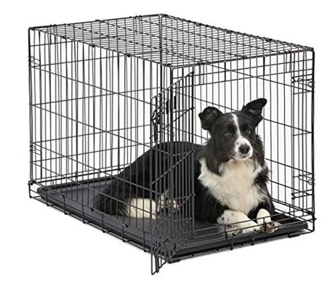 Dog Crate | MidWest ICrate 36 Inch Folding Metal Dog Crate w/ Divider Panel|Intermediate Dog ...