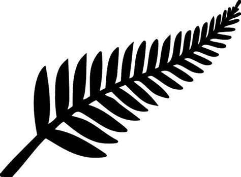 Silver Fern Drawing | Free download on ClipArtMag