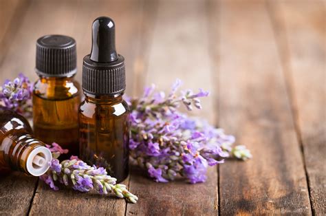 5 Aromatherapy Essential Oils for Health, Wellness, and Well-Being