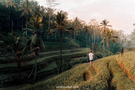 Tegalalang Rice Terraces around Ubud in Bali - The Ultimate Guide