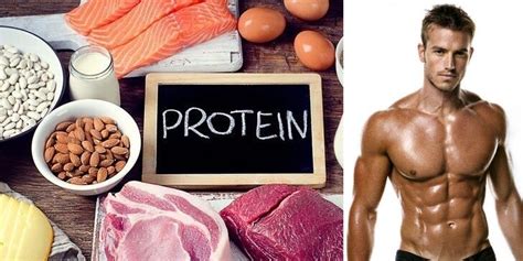 Top 5 Best Protein Sources For Lean Muscles