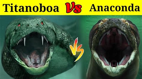 Titanoboa Vs Anaconda | क्या होगा जब खूँखार टाइटेनोबोआ का मुकाबला होगा ...