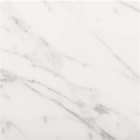 Emser Tile Marble 24 x 24 Polished Bianco Gioia