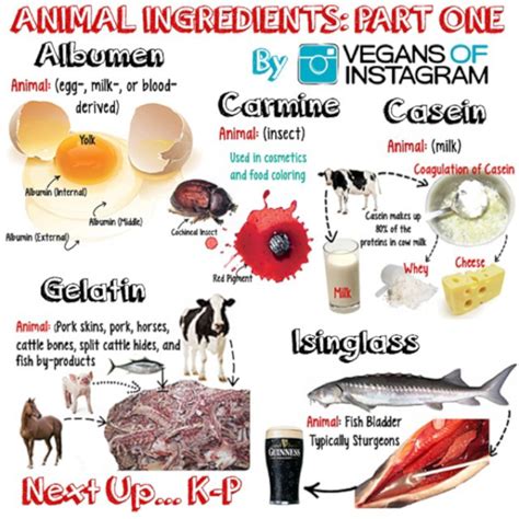 ANIMAL DERIVED INGREDIENTS LISTS | SATYAVEDISM