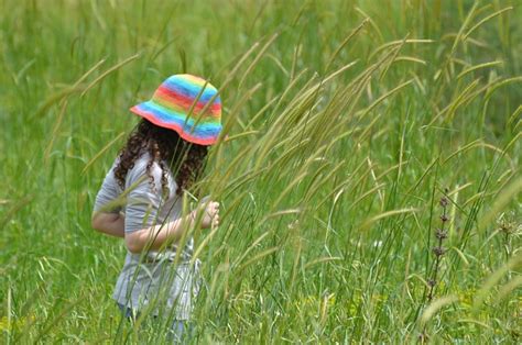 Grass Girl Summer - Free photo on Pixabay - Pixabay