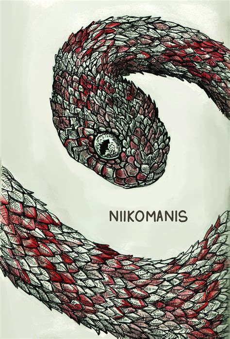 [Shadow Art] A Red Pattern : r/Niikomanis