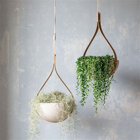 Las plantas de interior colgantes más decorativas para tu casa - Foto 1