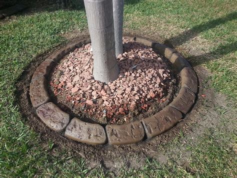 Decorative concrete Curbing tree ring in Fort Myers FL. This pattern is ...