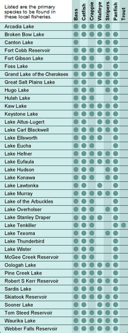 Guide To Fishing In Oklahoma Lakes For All Fish Species