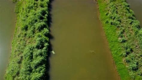 Amazon Rainforest Aerial View River Environmental Stock Footage Video (100% Royalty-free ...