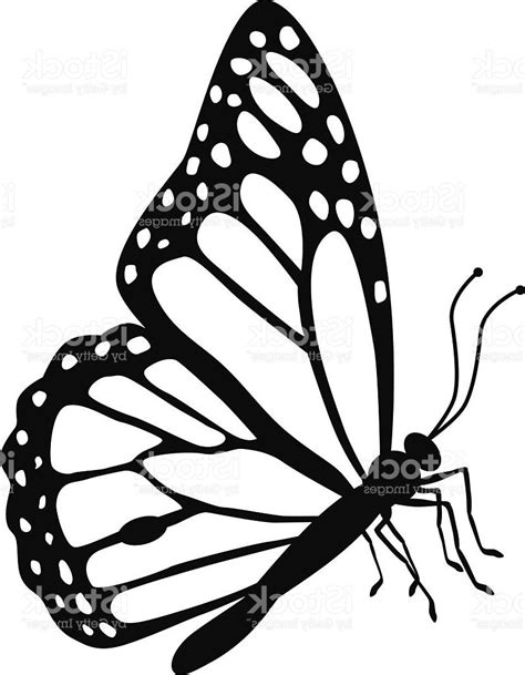 Monarch Butterfly Drawing | Free download on ClipArtMag