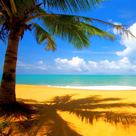 Animated Beach Wallpaper Windows 7 - WallpaperSafari