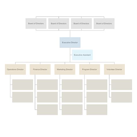 Non Profit Organizational Chart Template