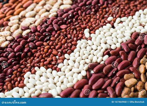 Different Varieties of Bean Seeds. Beans Background Stock Photo - Image of green, crop: 167464968